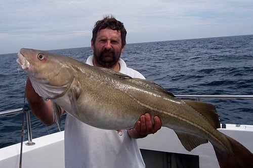 An angler holds a big cod on deck