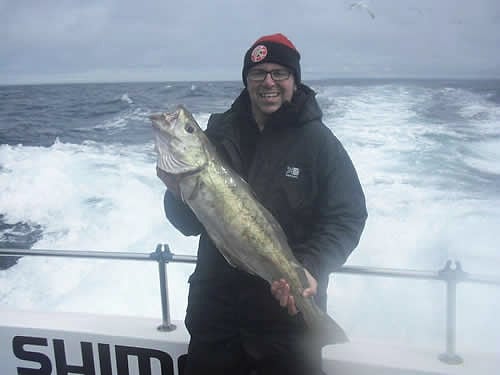 An angler holds a pollack over the wake