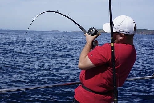 An angler in red plays a fish, cliffs behind