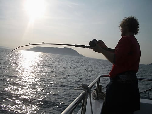 An angler with a rod, backlit by low sun on the water, a headland beyond